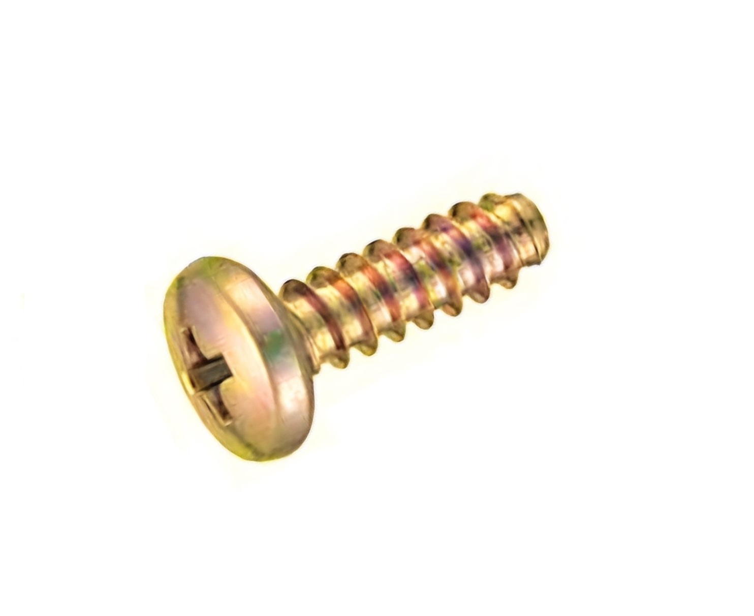 바인드 탭타이트 B타입 [천연색]