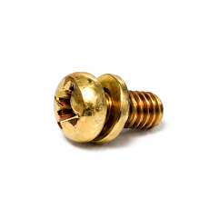 피형샘스 1장 [천연색]