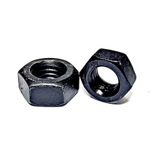 콜라육각너트 [착색]