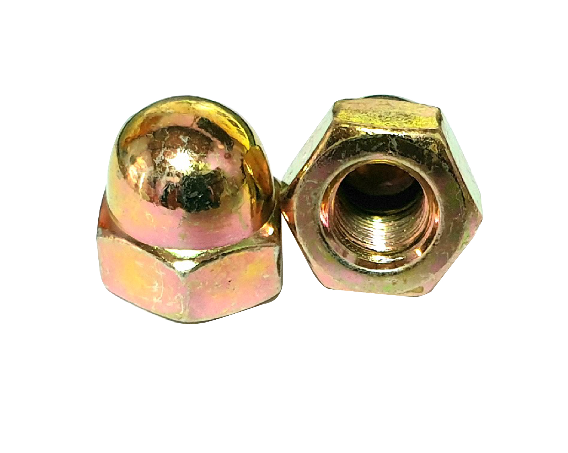 캡너트 [천연색]