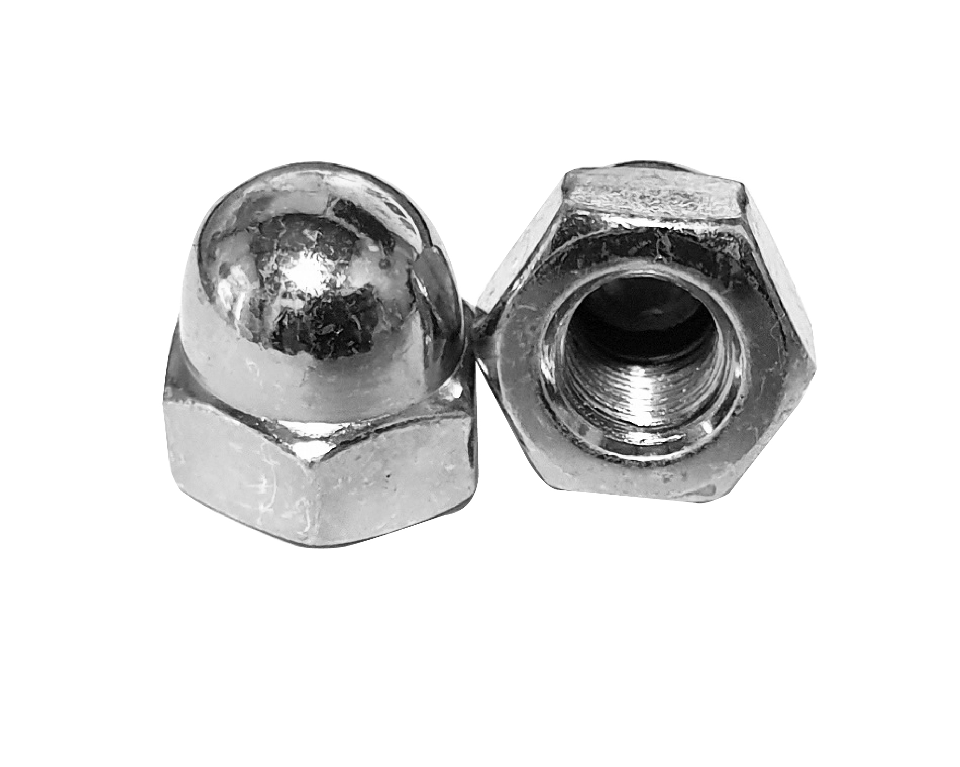 스텐캡너트 [304]